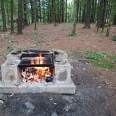 Review photo of Catskill/Kenneth L Wilson Campground by Ellen C., May 30, 2019