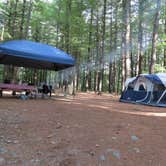 Review photo of Catskill/Kenneth L Wilson Campground by Ellen C., May 30, 2019