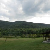 Review photo of Catskill/Kenneth L Wilson Campground by Ellen C., May 30, 2019
