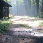 Review photo of Catskill/Kenneth L Wilson Campground by Ellen C., May 30, 2019