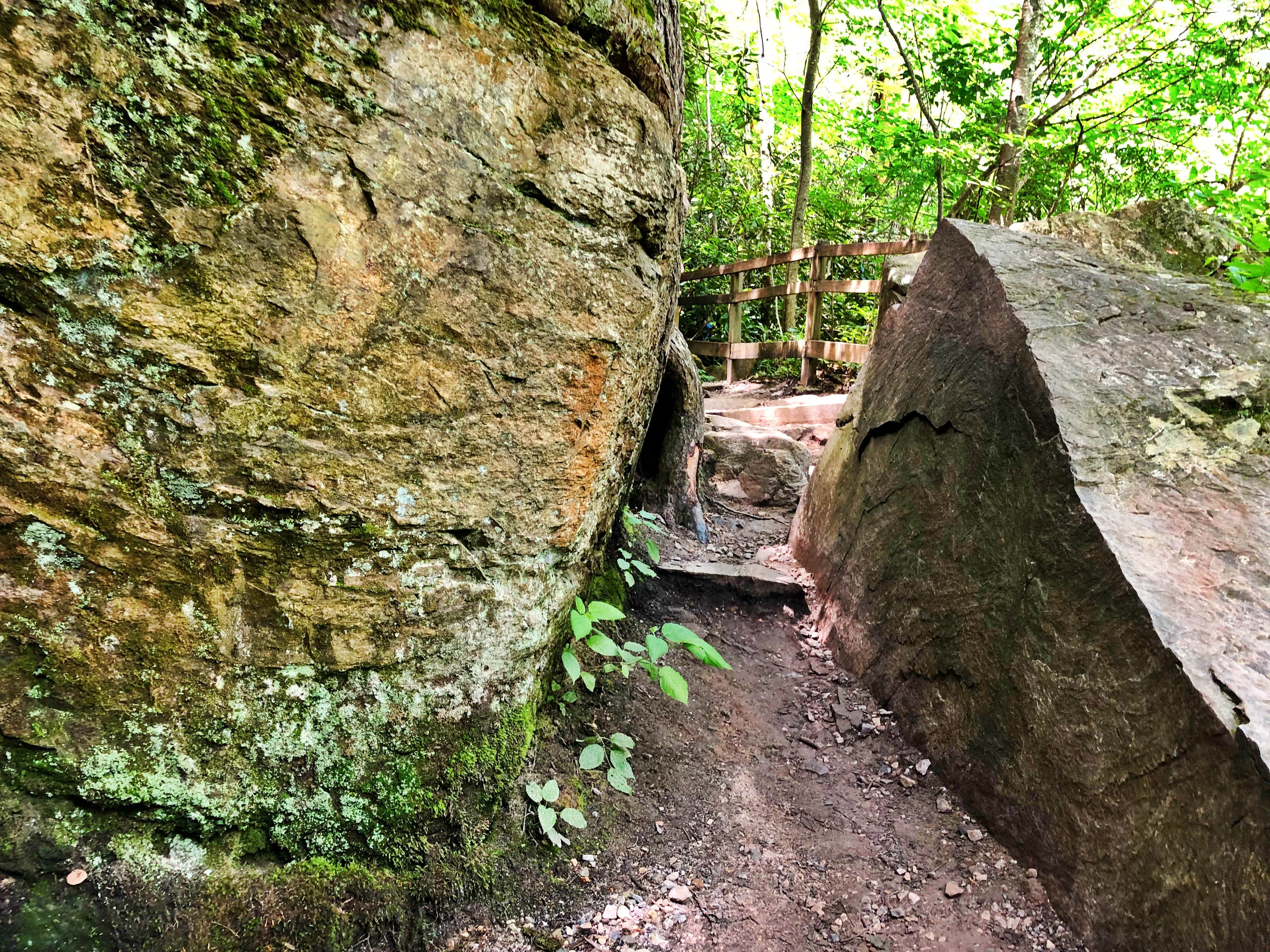 Camper submitted image from Linville Falls Campground — Blue Ridge Parkway - 5