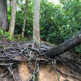 Review photo of Linville Falls Campground — Blue Ridge Parkway by Melissa  W., May 30, 2019