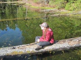 Camper submitted image from Elk Lake — Olympic National Park - 3