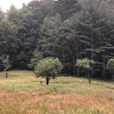 Review photo of Linville Falls Campground — Blue Ridge Parkway by Melissa  W., May 30, 2019