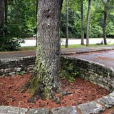 Review photo of Linville Falls Campground — Blue Ridge Parkway by Melissa  W., May 30, 2019