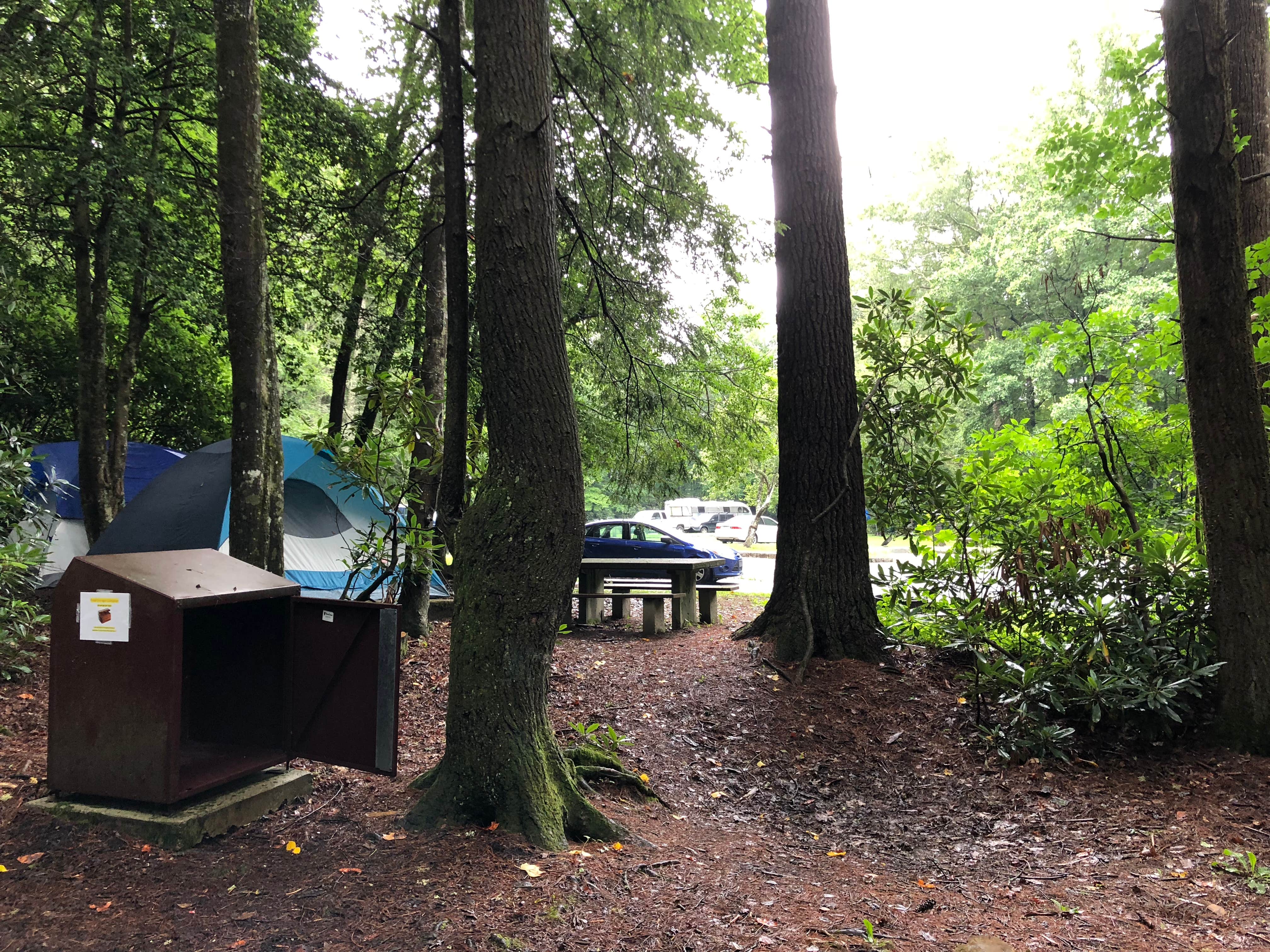 Camper submitted image from Linville Falls Campground — Blue Ridge Parkway - 5