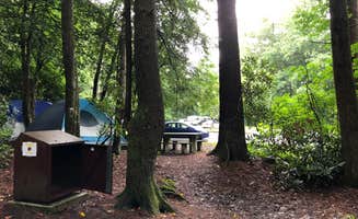 Melissa W.'s photo at Linville Falls Campground — Blue Ridge Parkway near Linville Falls, NC