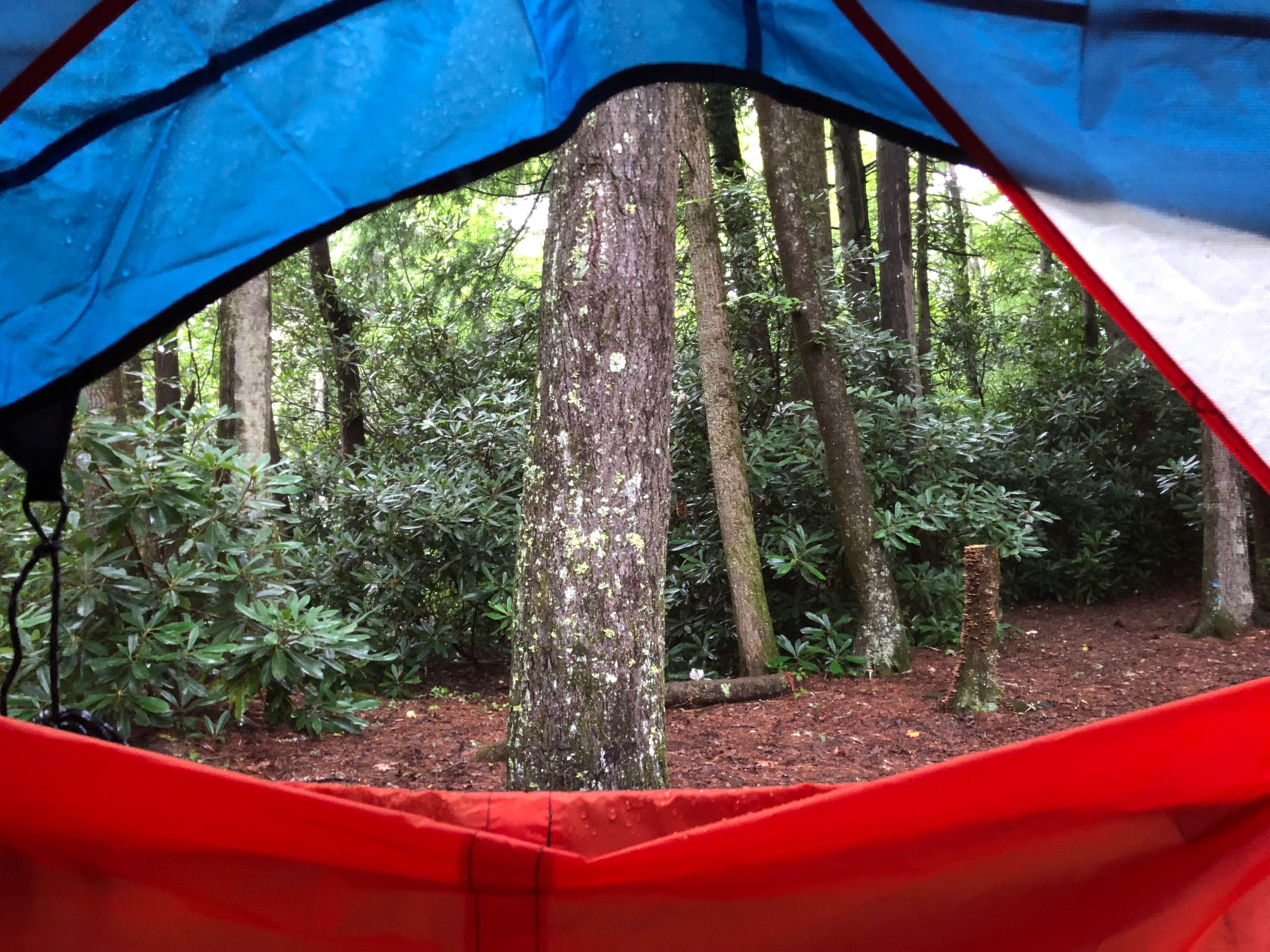 Melissa  W.'s photo at Linville Falls Campground — Blue Ridge Parkway near Spruce Pine, NC