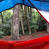 Review photo of Linville Falls Campground — Blue Ridge Parkway by Melissa  W., May 30, 2019