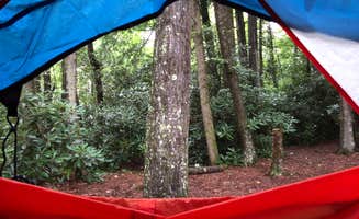 Melissa W.'s photo at Linville Falls Campground — Blue Ridge Parkway near Spruce Pine, NC