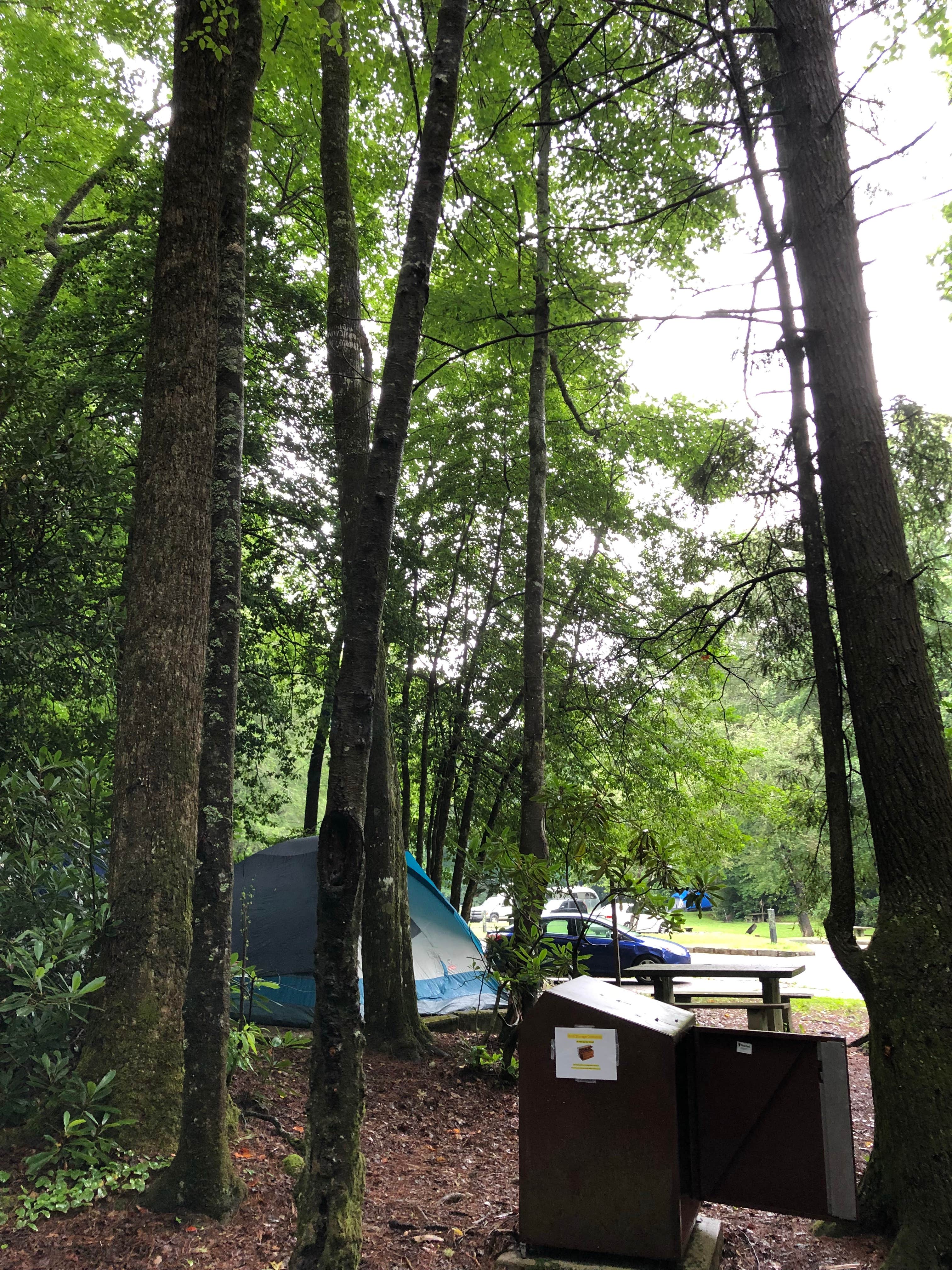 Melissa  W.'s photo at Linville Falls Campground — Blue Ridge Parkway near Pineola, NC