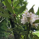 Review photo of Linville Falls Campground — Blue Ridge Parkway by Melissa  W., May 30, 2019