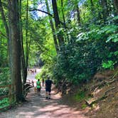 Review photo of Linville Falls Campground — Blue Ridge Parkway by Melissa  W., May 30, 2019