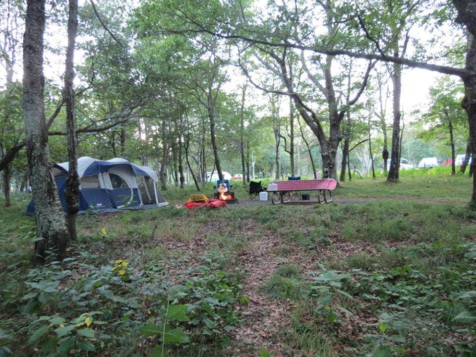 Ellen C.'s photo at Big Meadows Campground — Shenandoah National Park near Dyke, VA