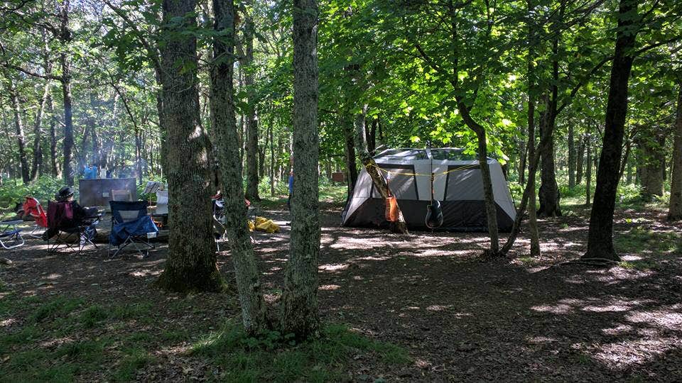 Ellen C.'s photo at Big Meadows Campground — Shenandoah National Park near Shenandoah, VA