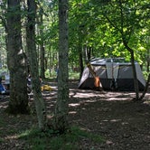 Review photo of Big Meadows Campground — Shenandoah National Park by Ellen C., May 30, 2019