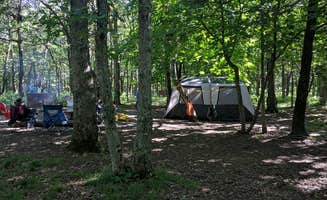 Ellen C.'s photo at Big Meadows Campground — Shenandoah National Park near Shenandoah, VA
