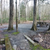 Review photo of Locust Lake State Park Campground by Ellen C., May 30, 2019
