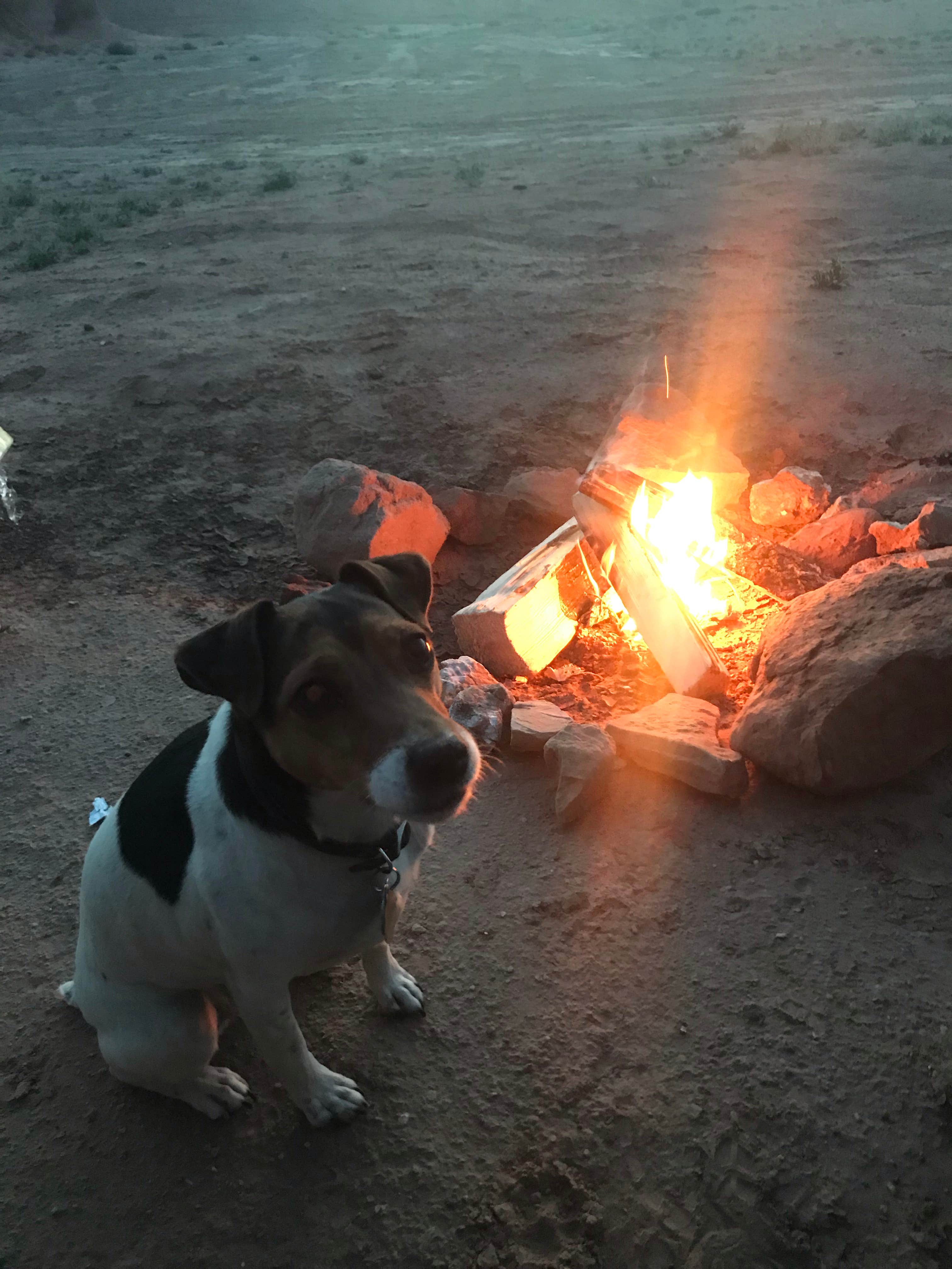 Camper-submitted photo at Dispersed Campground - Goblin Valley near Hanksville, UT