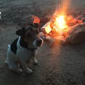 Review photo of Dispersed Campground - goblin valley by Carrie C., May 30, 2019