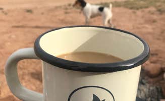 Carrie C.'s photo of camping with pets at Dispersed Campground - Goblin Valley near Emery, UT