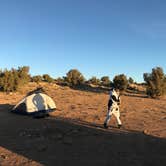 Review photo of Wedge Overlook by Carrie C., October 31, 2018