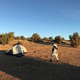 Review photo of Sids Mountain Wilderness - The Wedge by Carrie C., October 31, 2018