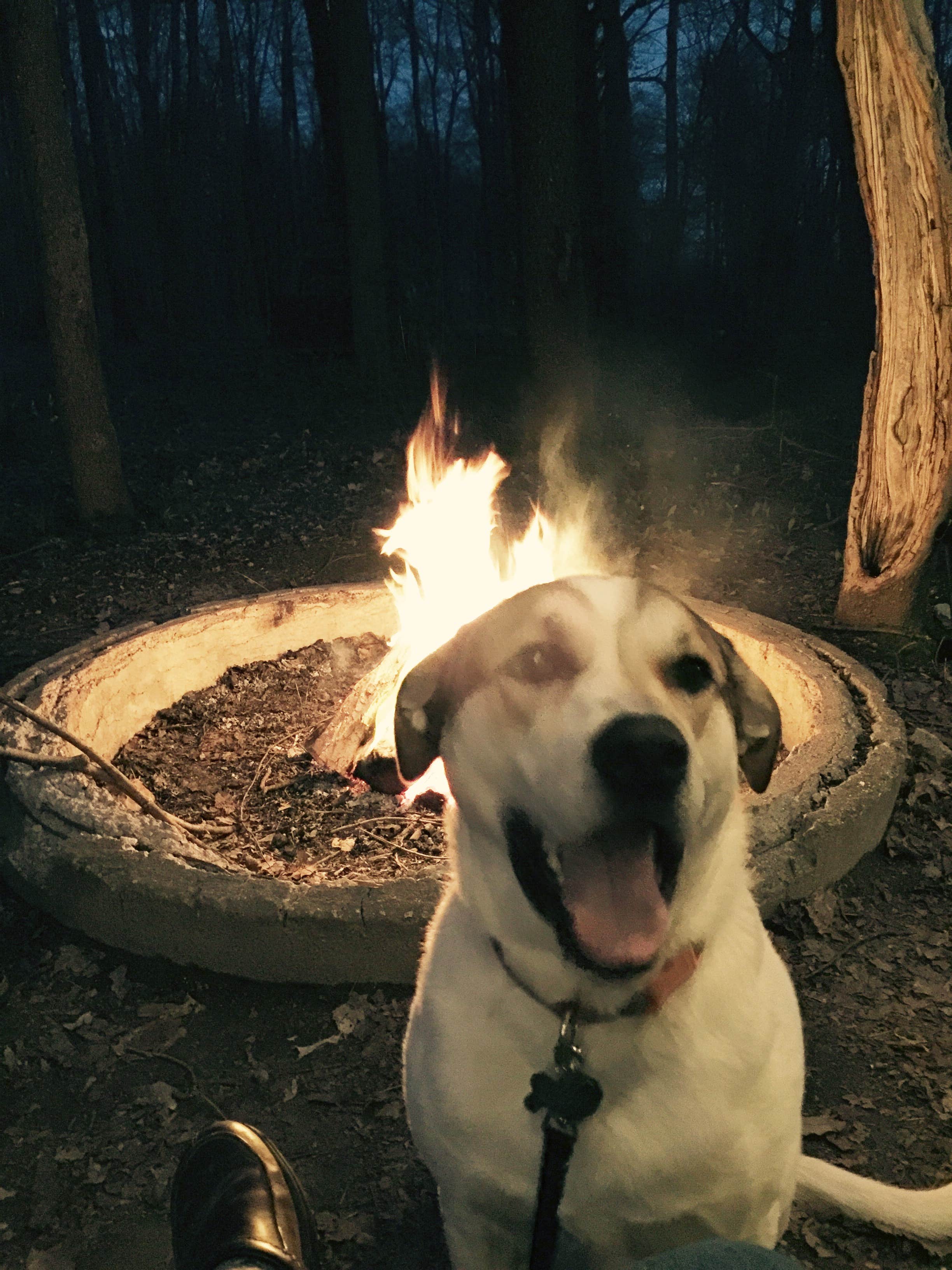 Shabbona Lake State Recreation Area