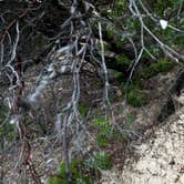 Review photo of Los Alamos Campground at Pyramid Lake by Brian L., May 30, 2019