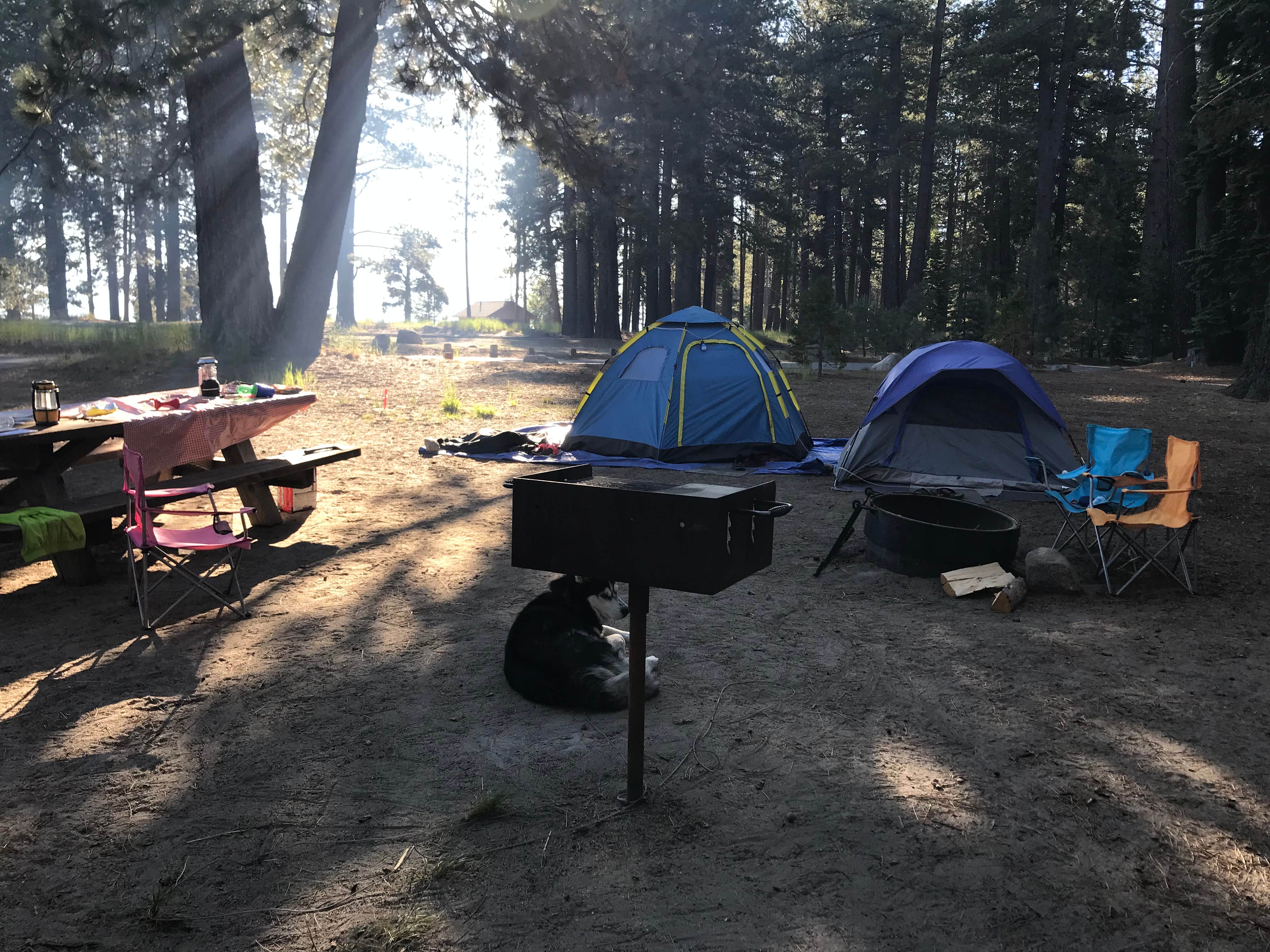 Camper submitted image from Meeks Bay - 3