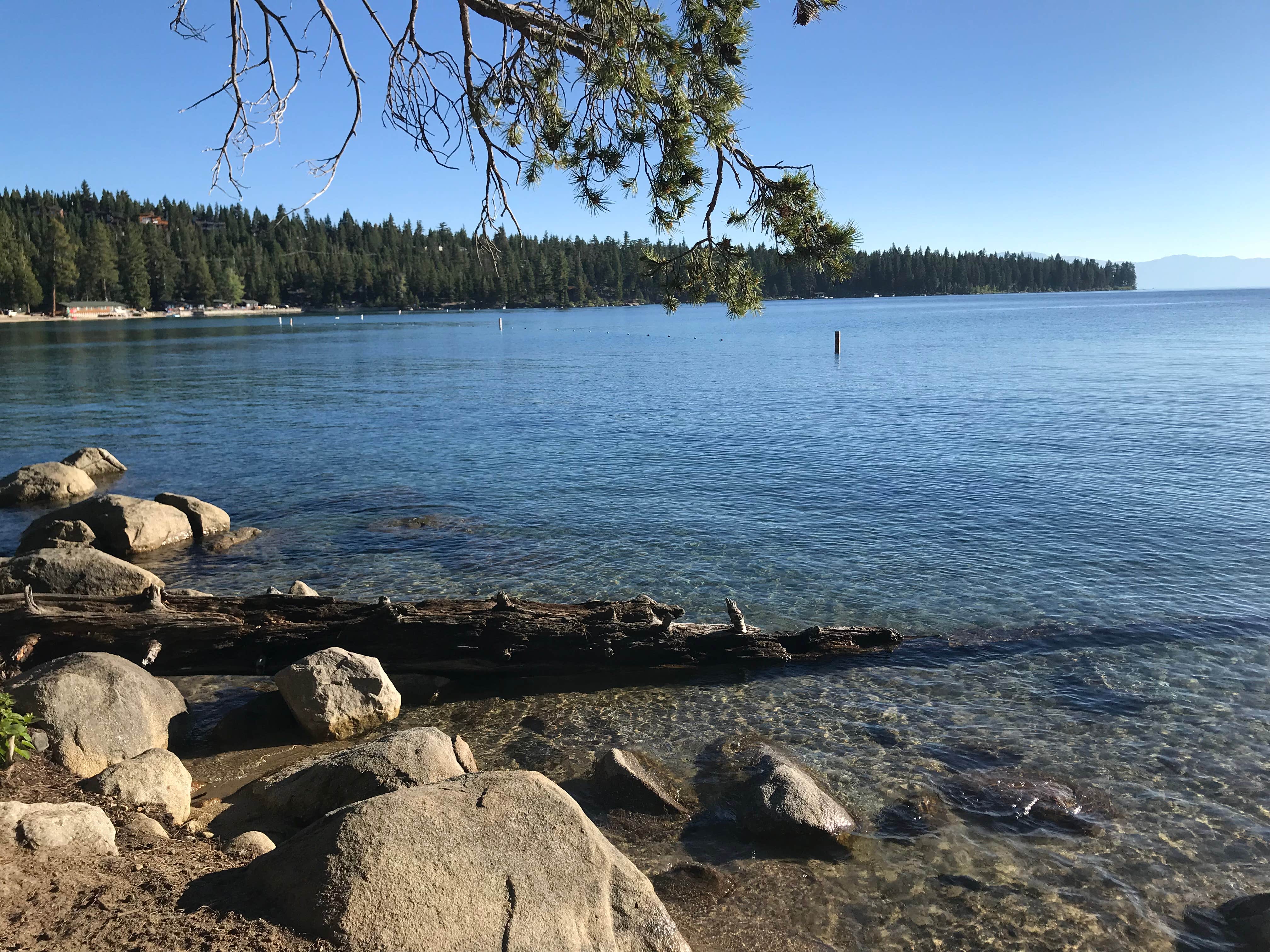 Camping near D.L. Bliss State Park Campground: Meeks Bay, Tahoma, California