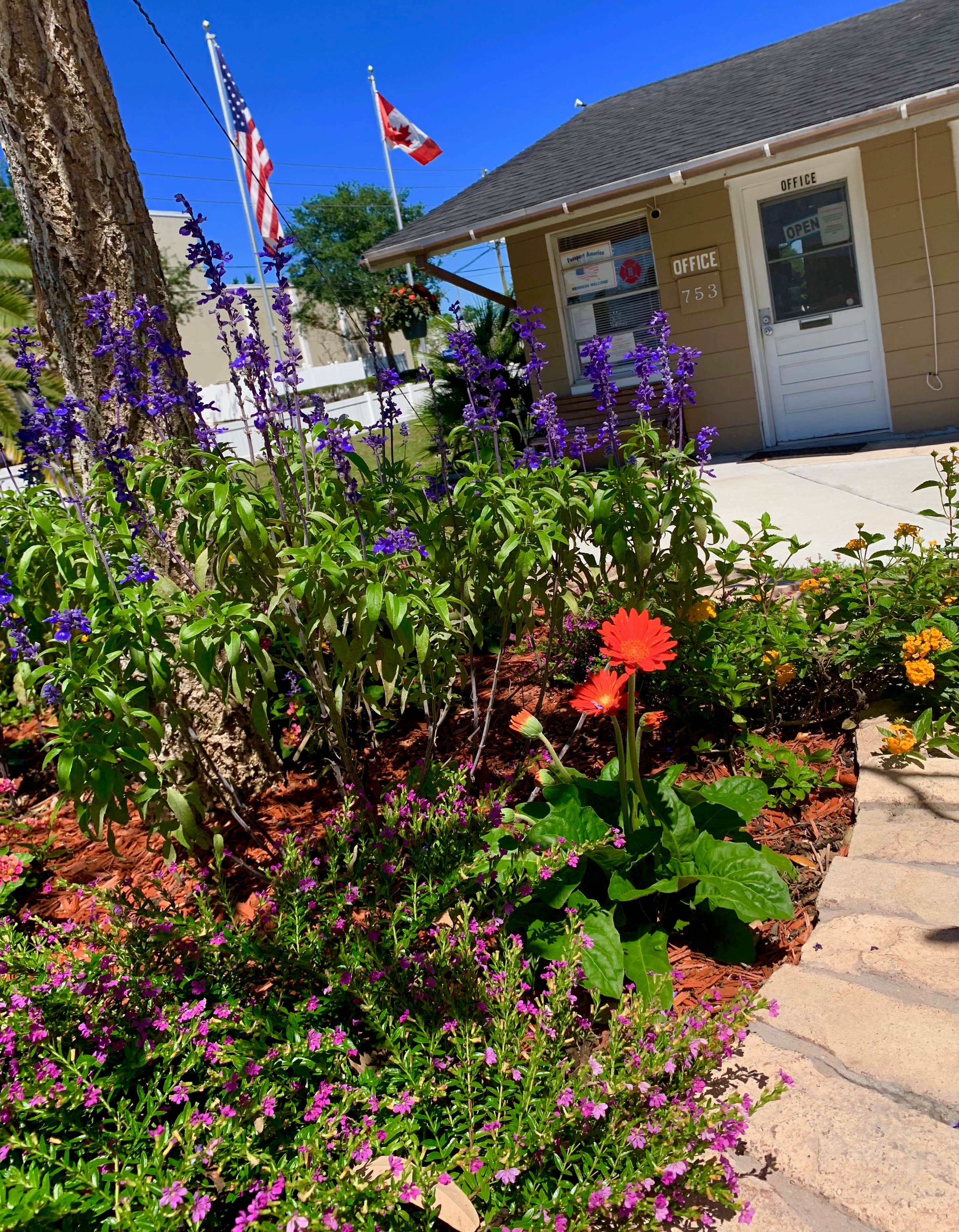 Camping near Morgan's RV Park: Haines City MHP & RV, Haines City, Florida