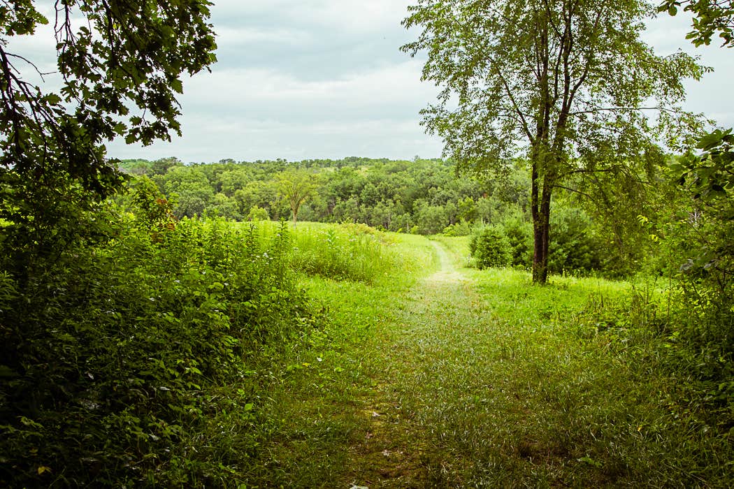 Camper submitted image from Twin Valley Campground — Governor Dodge State Park - 4