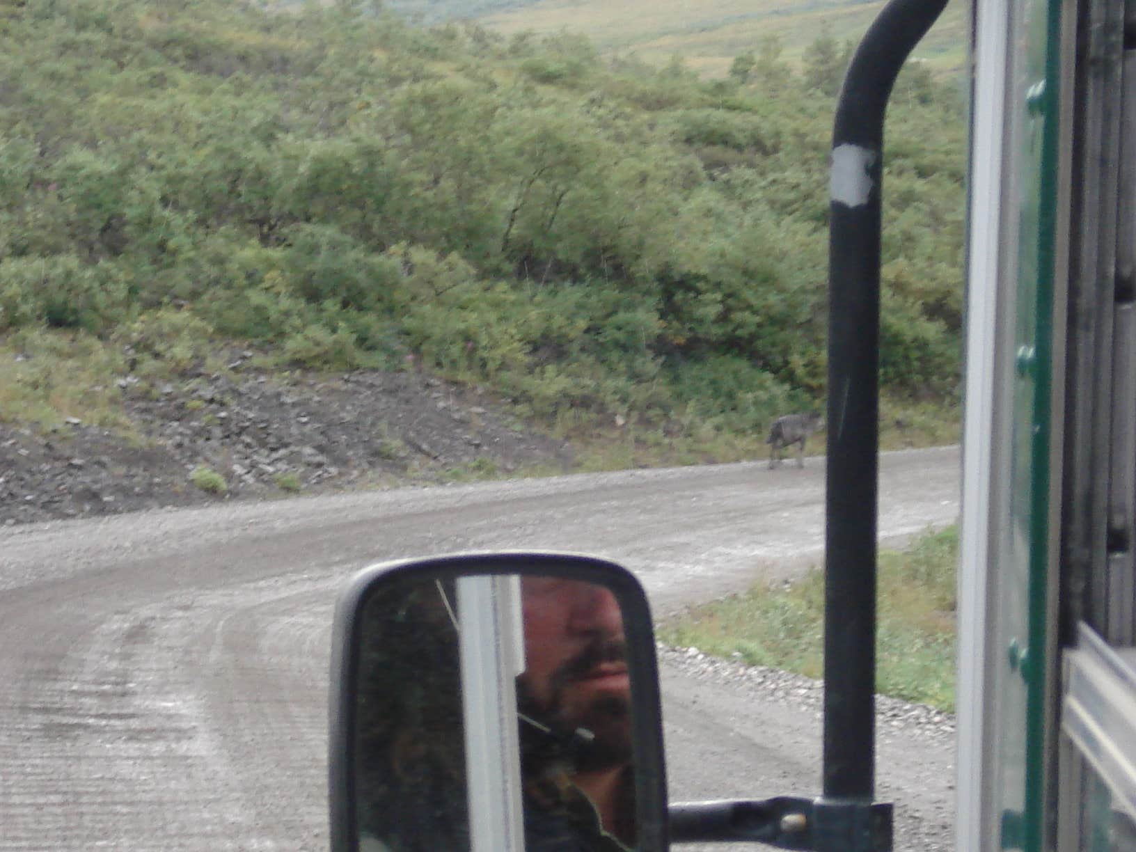 Camper submitted image from Wonder Lake Campground — Denali National Park - 3