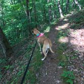 Review photo of Old Mill Campground — Bluestone Lake State Park by Chelsey R., May 30, 2019