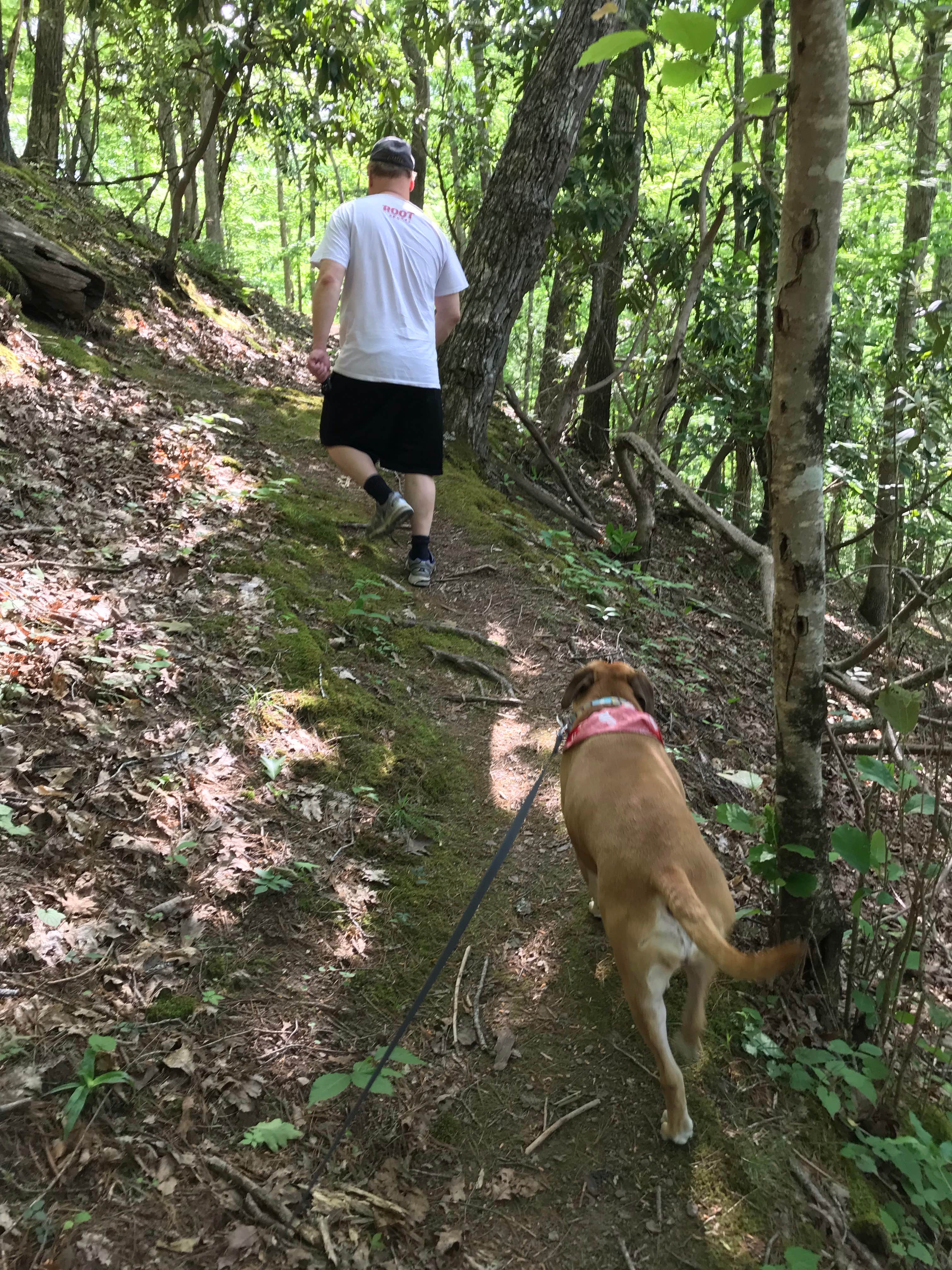 Camper submitted image from Old Mill Campground — Bluestone Lake State Park - 1