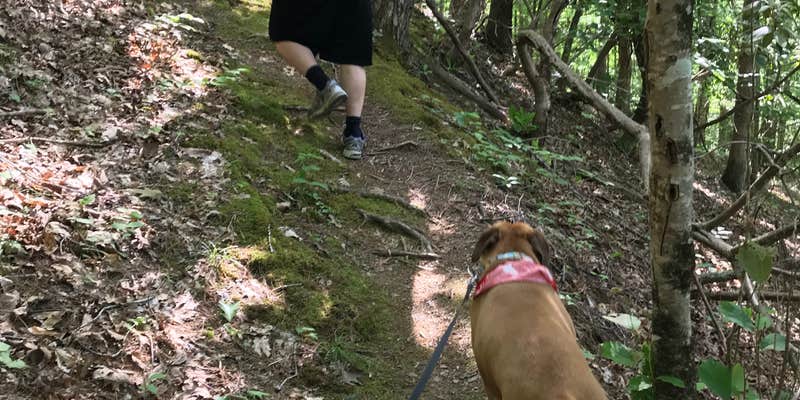 Camper submitted image from Old Mill Campground — Bluestone Lake State Park