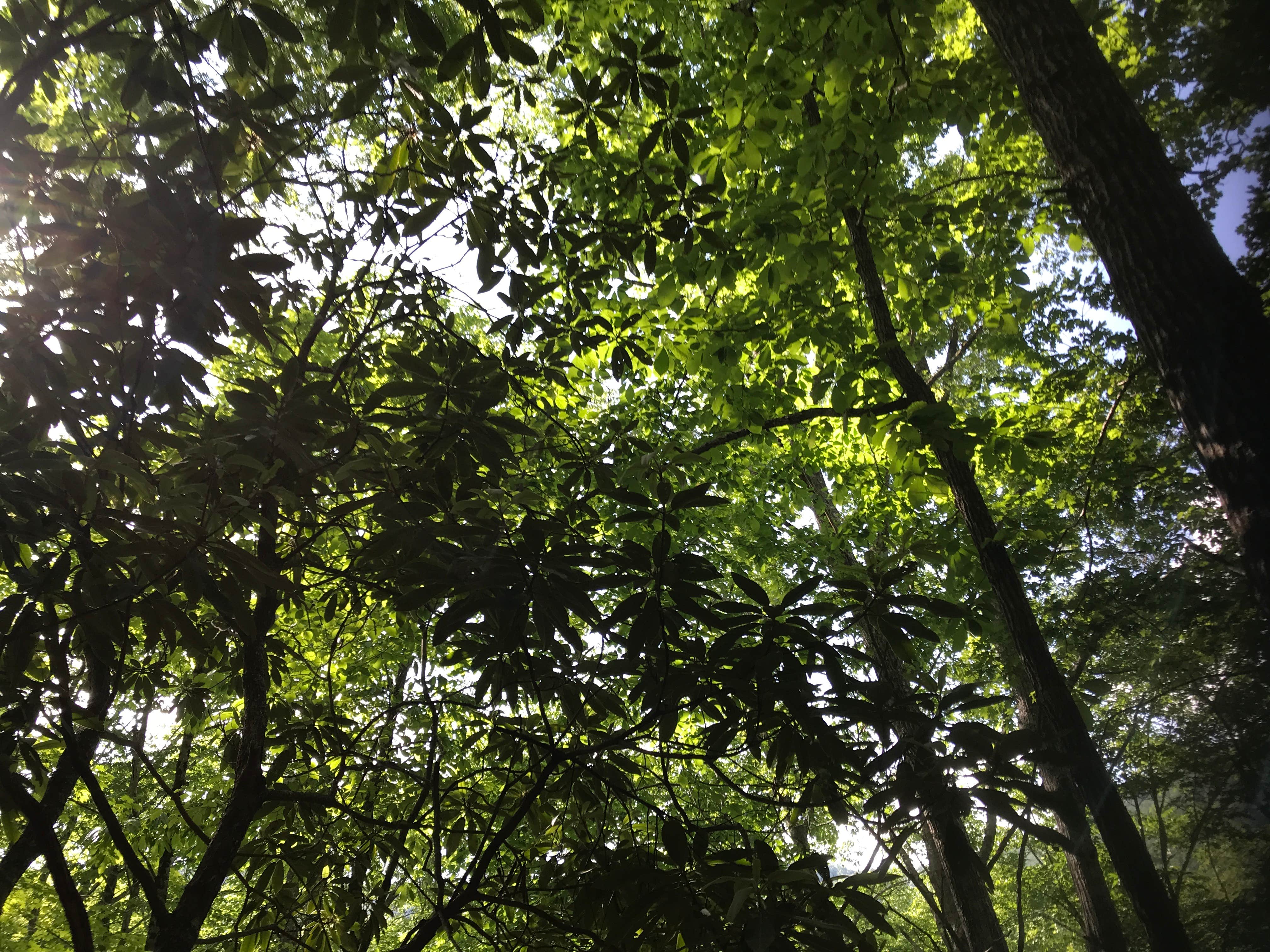 Camper-submitted photo at Old Mill Campground — Bluestone Lake State Park near Nimitz, WV