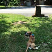 Review photo of Old Mill Campground — Bluestone Lake State Park by Chelsey R., May 30, 2019