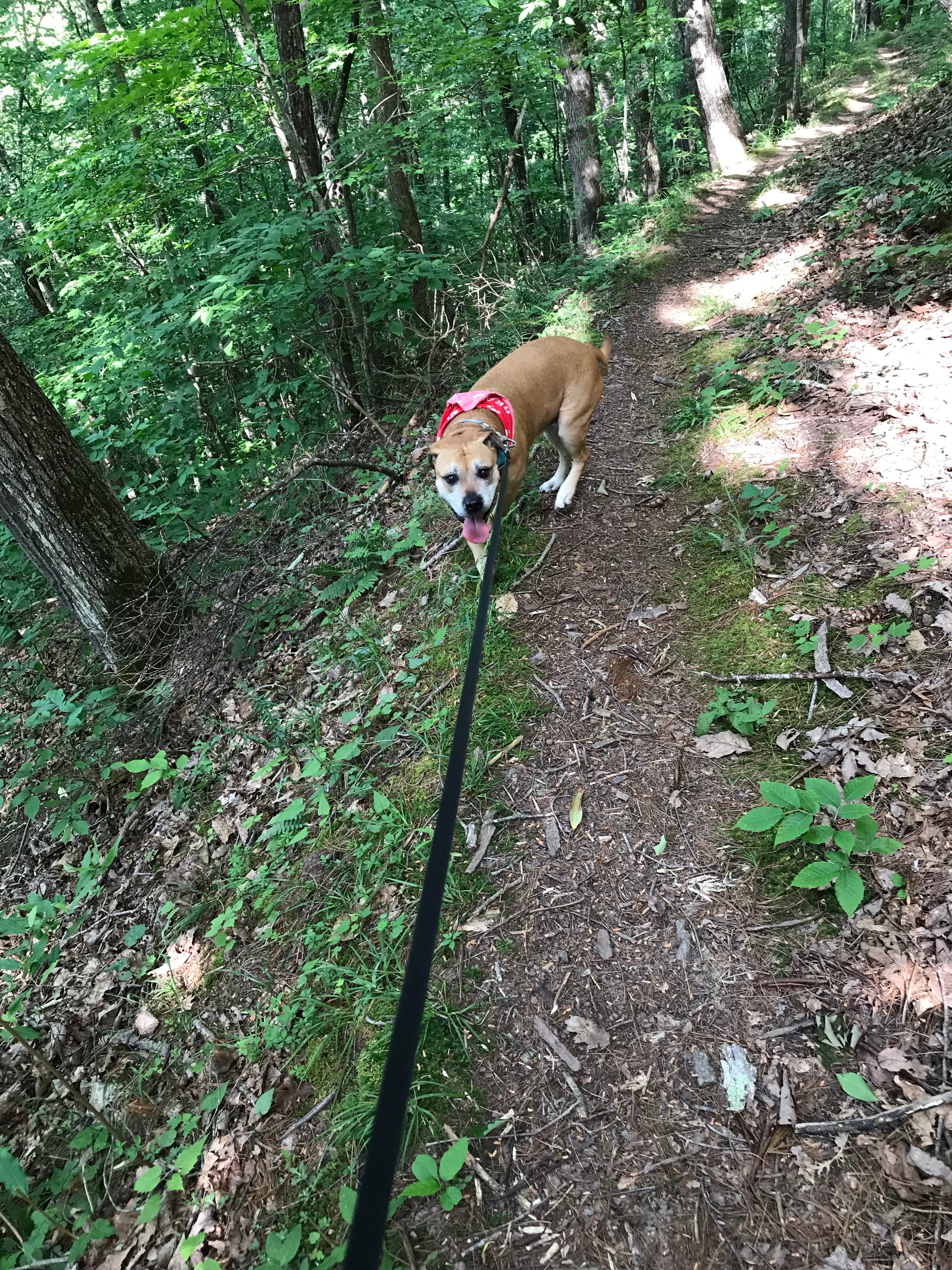 Camper-submitted photo at Old Mill Campground — Bluestone Lake State Park near Flat Top, WV