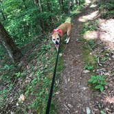 Review photo of Old Mill Campground — Bluestone Lake State Park by Chelsey R., May 30, 2019