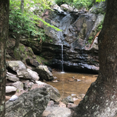 Review photo of Oak Mountain State Park Campground by Johnnie  J., May 30, 2019