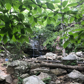 Review photo of Oak Mountain State Park Campground by Johnnie  J., May 30, 2019