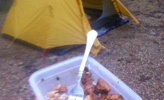 Johnnie J.'s photo at Oak Mountain State Park Campground near Pelham, AL