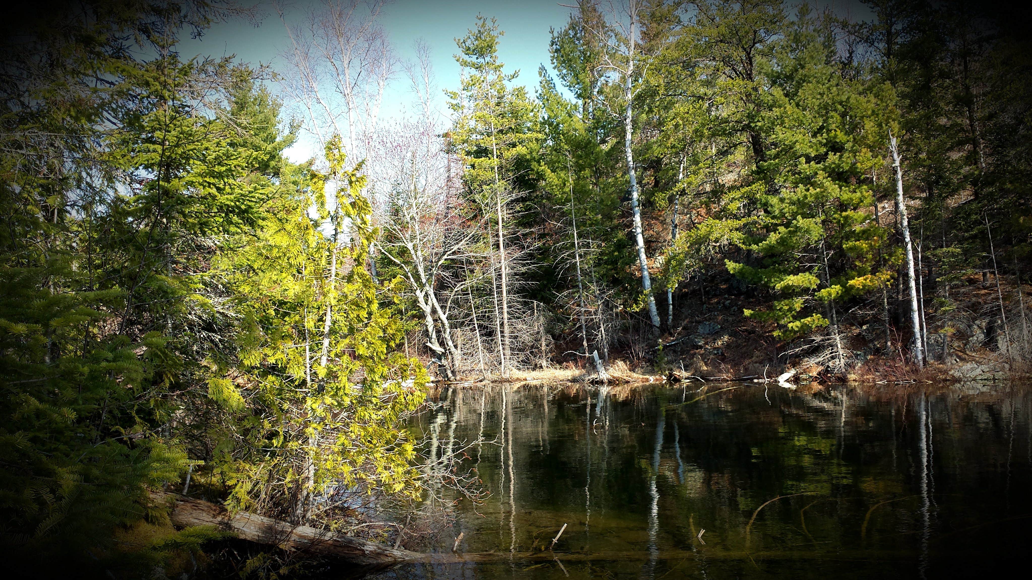 Camper submitted image from BWCA Camp 1 - 3