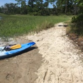 Review photo of Little Talbot Island State Park Campground by Shannon C., August 31, 2016
