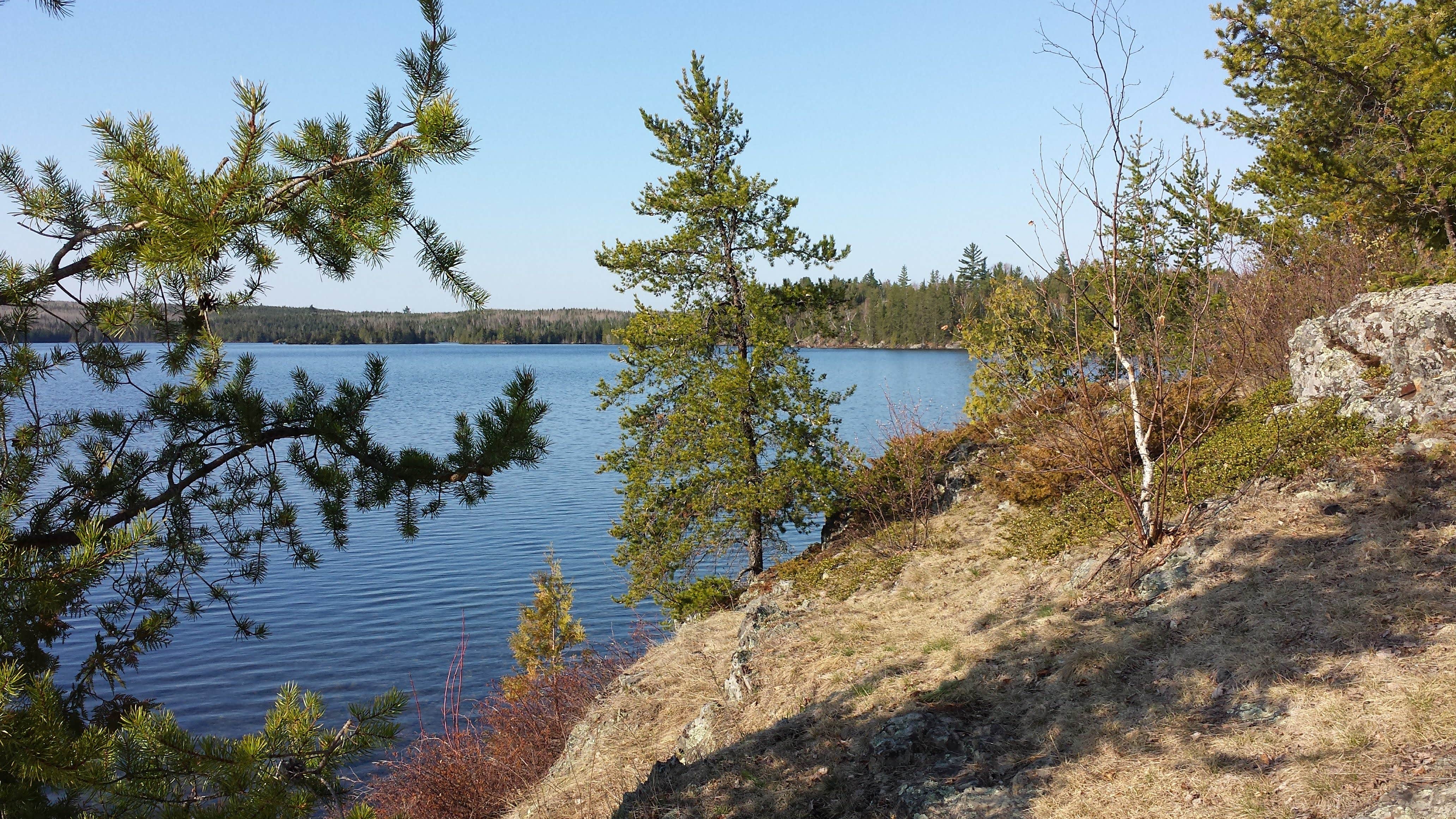 Camper submitted image from BWCA Camp 1 - 2