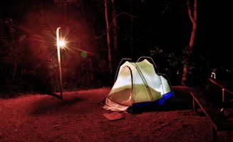 Myron C.'s photo at Medoc Mountain State Park Campground near Weldon, NC