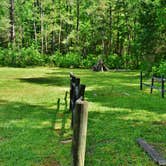 Review photo of Medoc Mountain State Park Campground by Myron C., May 30, 2019