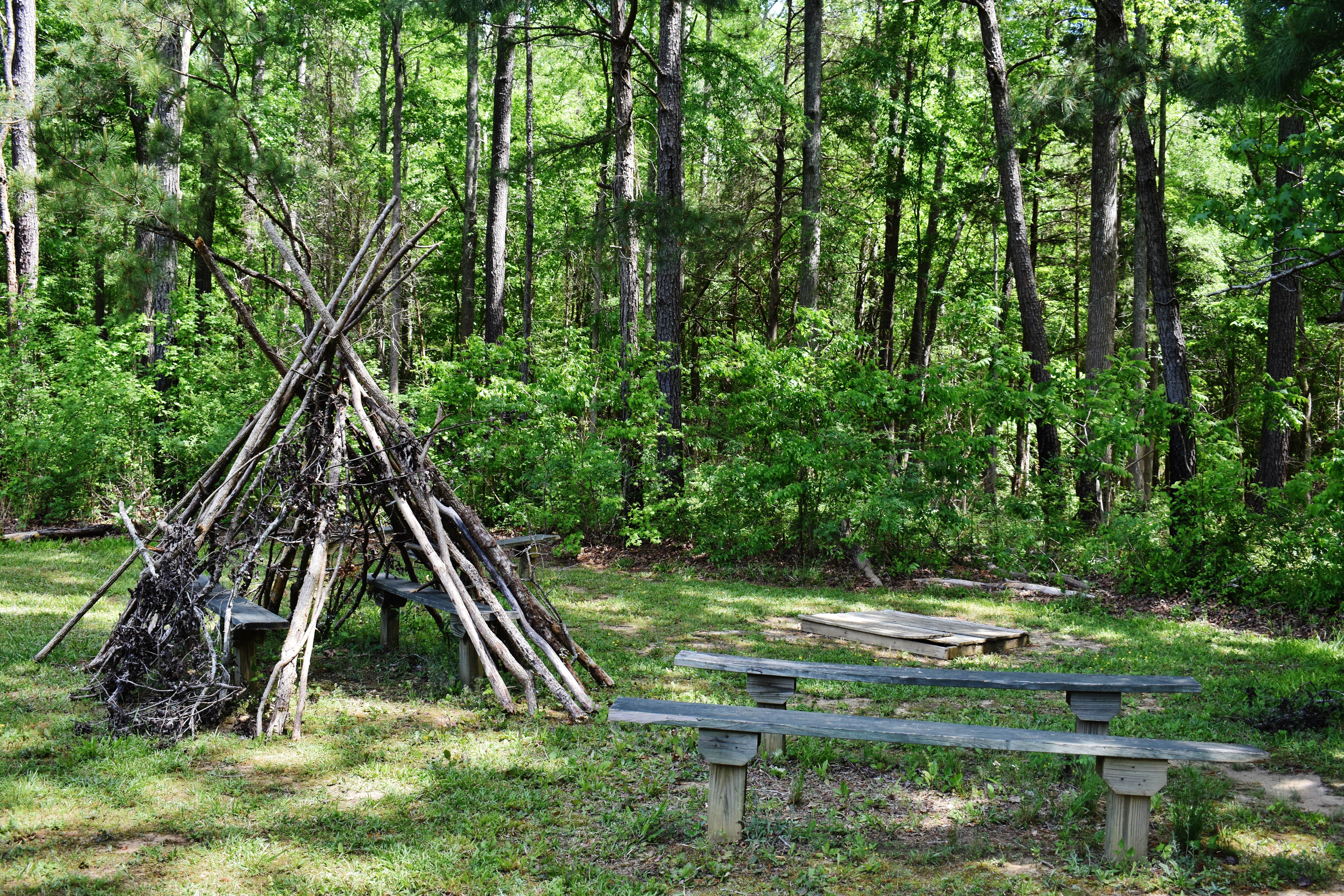 Camper submitted image from Medoc Mountain State Park Campground - 4
